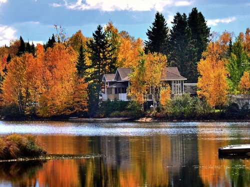 cottage in autumn on lake content images